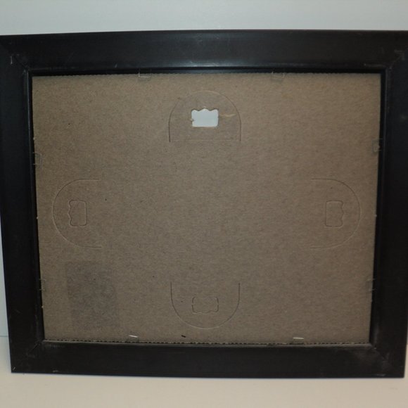 Art Resources Int'l Botanical Floral Picture Cistaceae & Rockrose Framed 10 x 12 - Picture 3 of 3